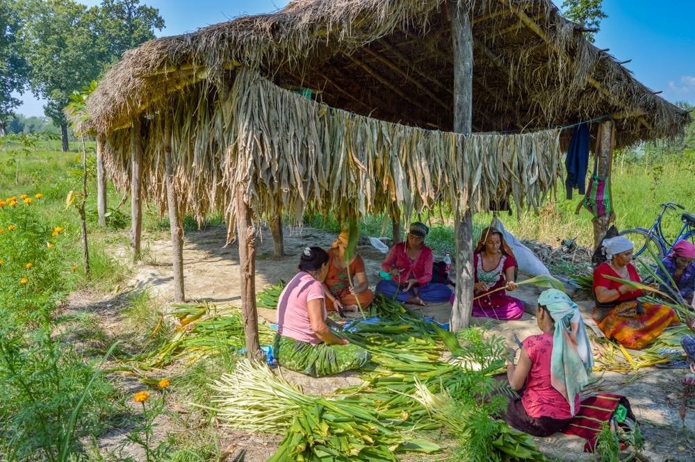 Forest-based women enterprises lead the way to climate resilience