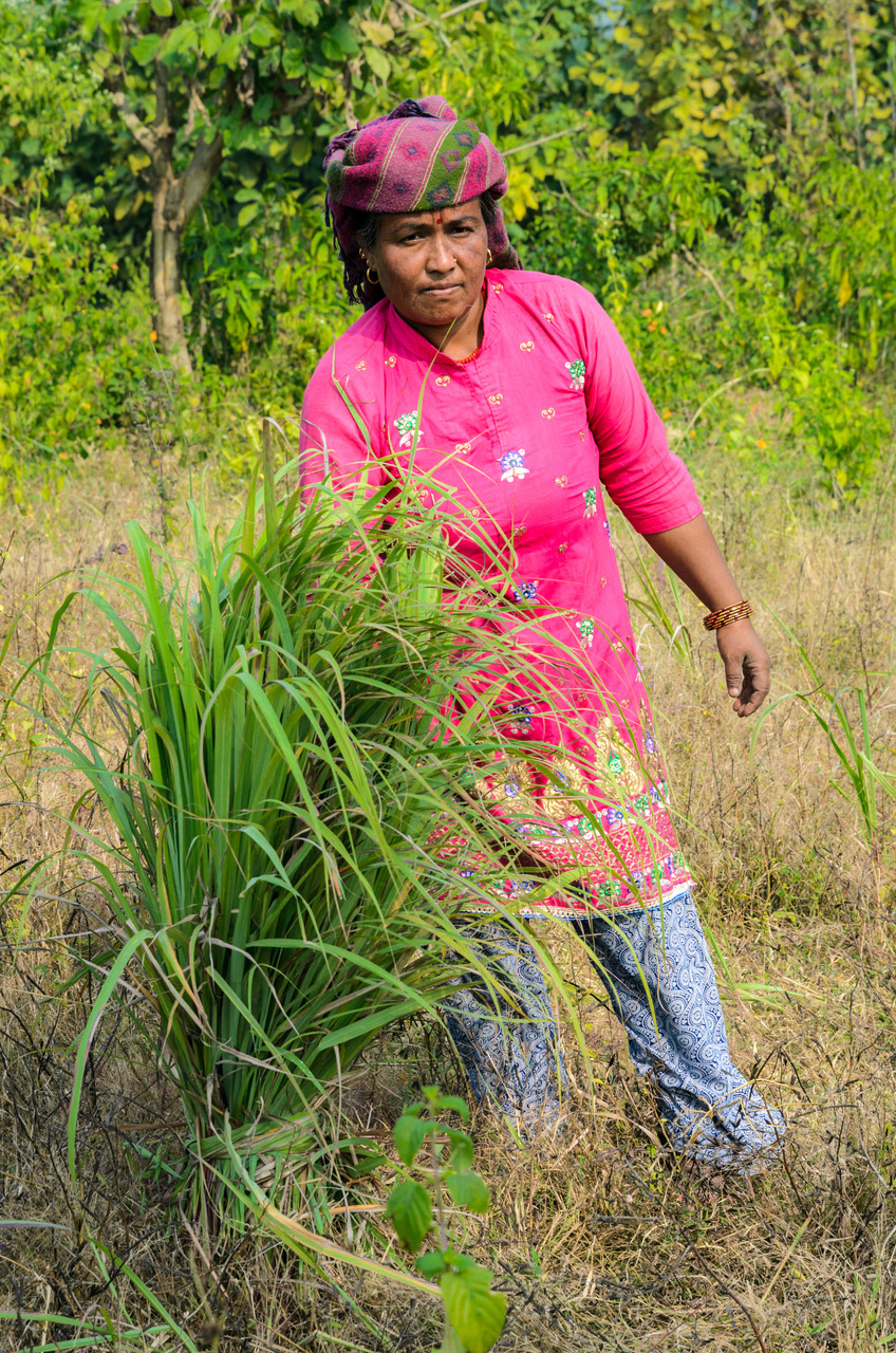 Women empowered to fight climate change while raising forests and finances in Nepal