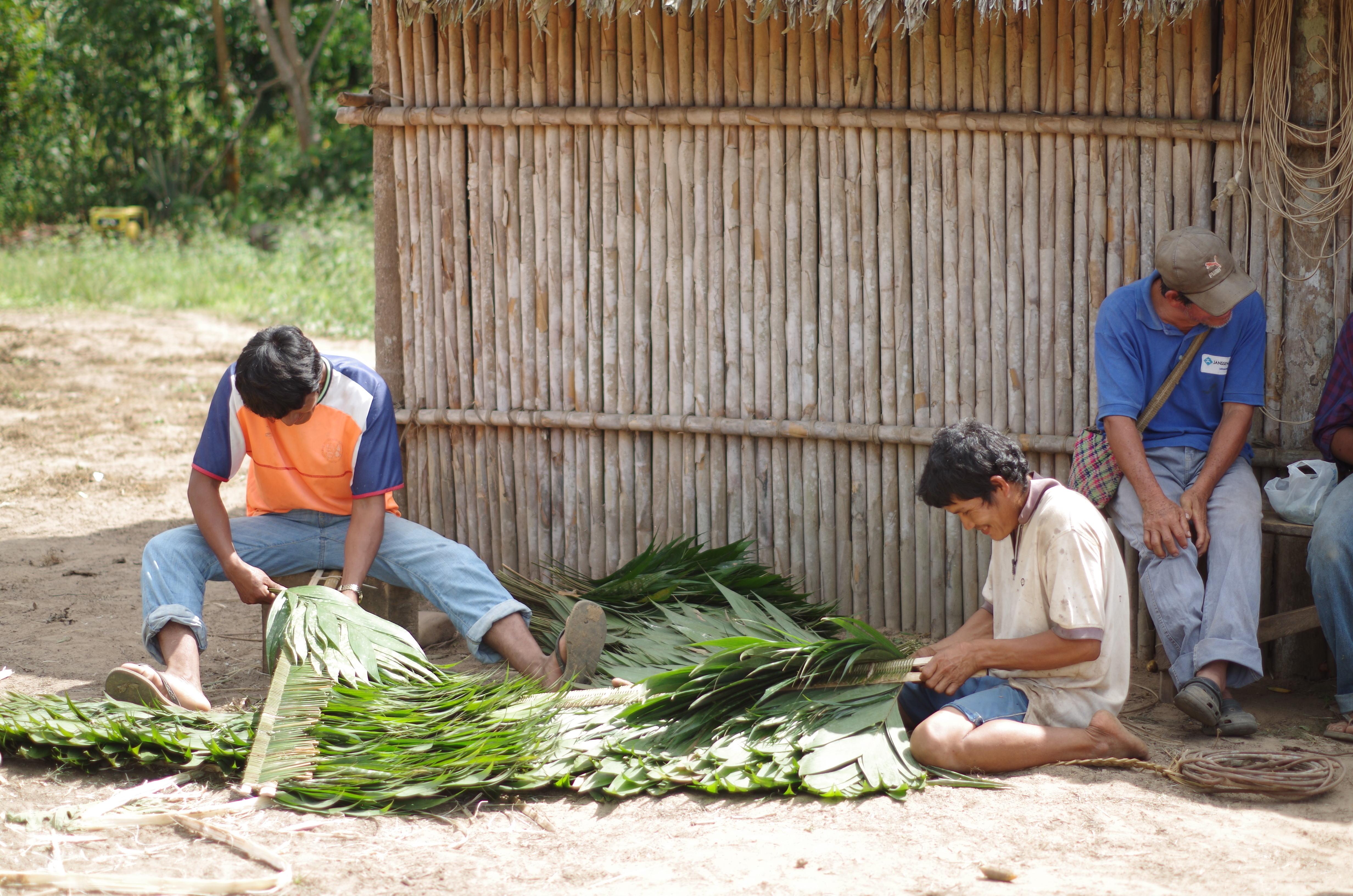 Sustainable forest management as the key to indigenous communities’ climate adaptation